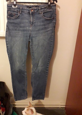 Gri-Navy Normal Boy Kadın Denim Pantolon