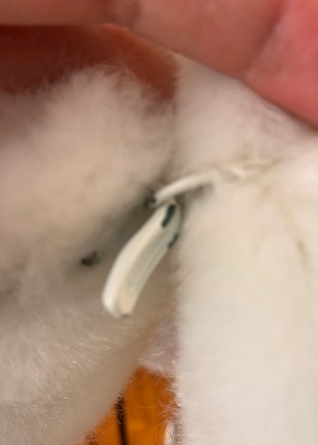 Kadın Beyaz Suni Kürk Midi Ceket - Görsel 3