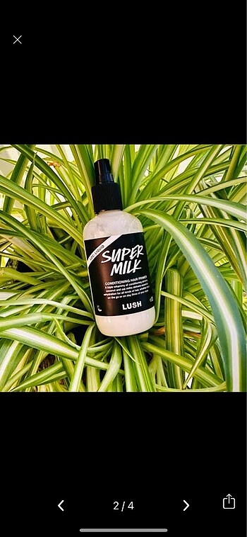 Lush super milk