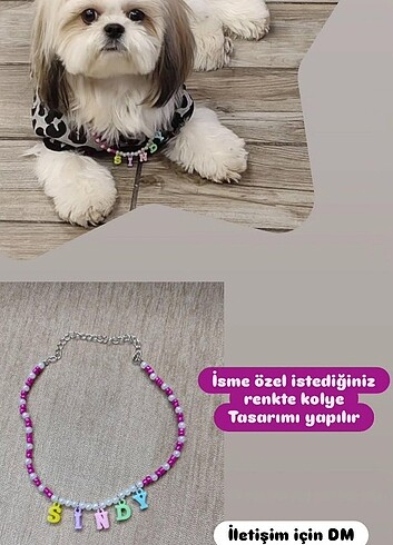 Köpek kolyesi