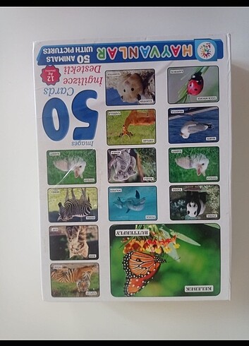 zeka kartları ve puzzle