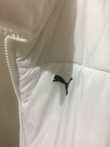 Puma Puma mont