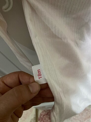 Uzun kollu badi - Görsel 3