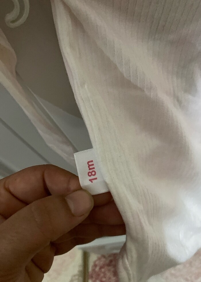 Uzun kollu badi - Görsel 3