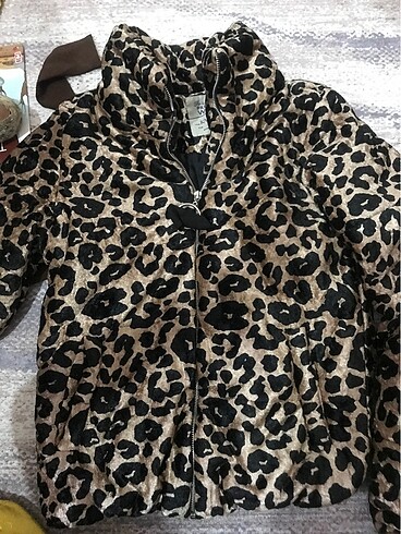 Leopar mont