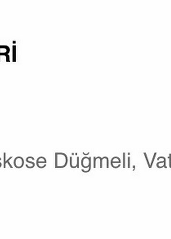 C&A Çizgili Gri Kadın Blazer Ceket - Görsel 9