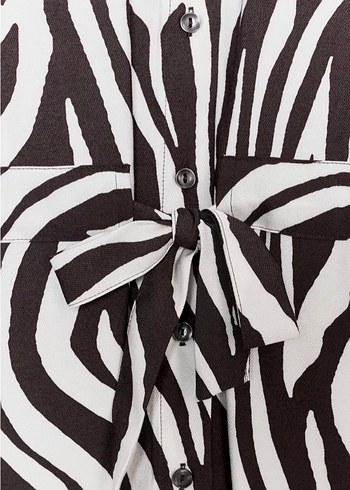 Zara Zebra Desenli Uzun Kadın Gömlek - Görsel 5