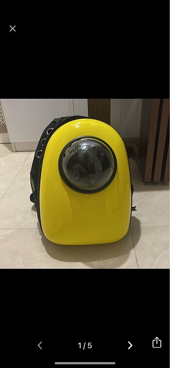 Astronot kedi taşıma çantası