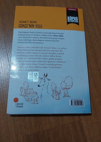 Gökçe'nin Yolu - Ahmet Büke - Görsel 2