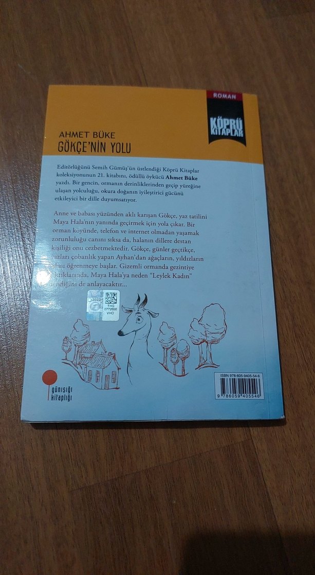 Gökçe'nin Yolu - Ahmet Büke - Görsel 2