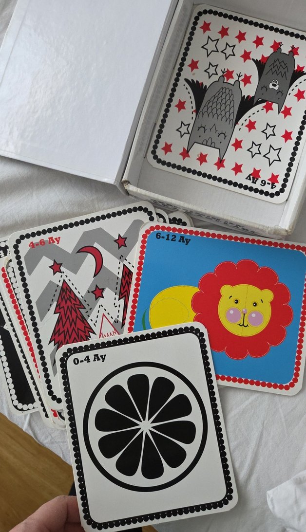Bebeğimin İlk Zeka Kartları - 0-12 Ay - Görsel 4
