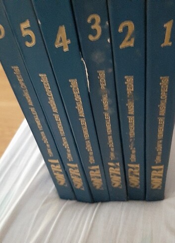  Beden Renk Yemek kitap