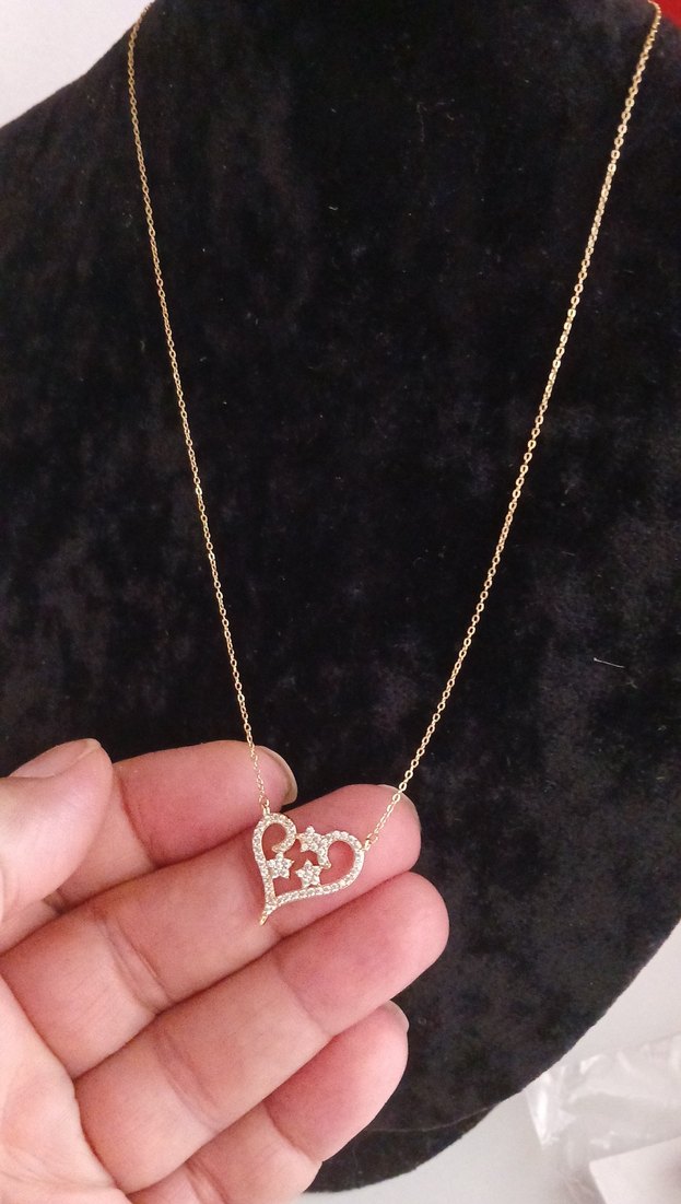 Altın Zincir Detaylı Minimalist Yılan kalpli Çelik Kolye - Görsel 3