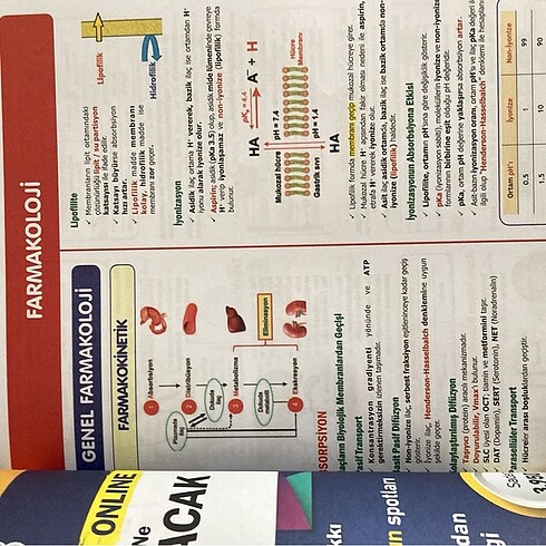  Beden Dusdata farmakoloji