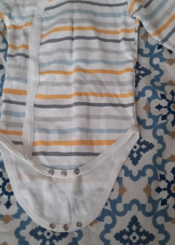 Uzun Kollu zıbın - Görsel 2