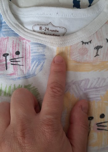 Uzun Kollu zıbın - Görsel 5