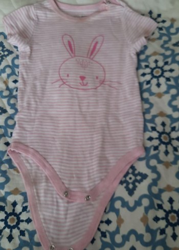 Uzun Kollu zıbın - Görsel 6