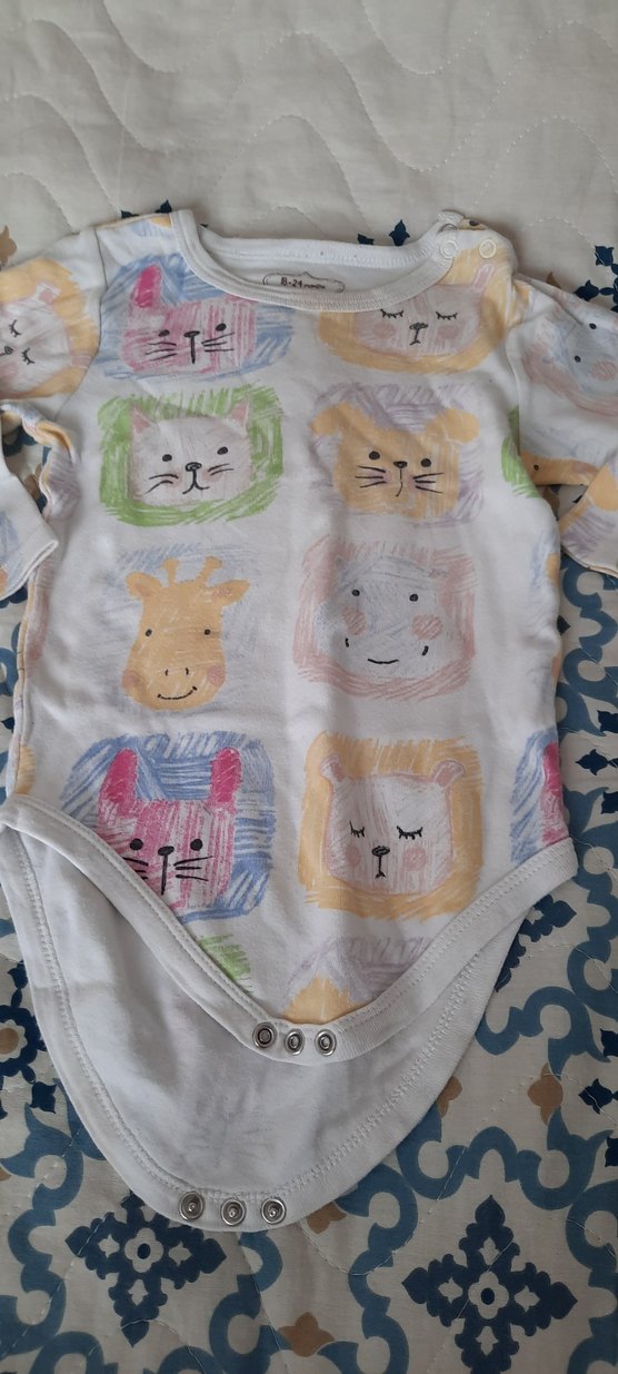 Uzun Kollu zıbın - Görsel 4