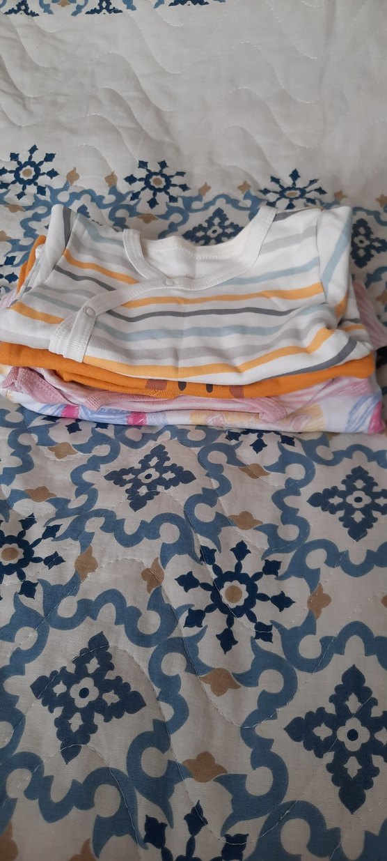 Uzun Kollu zıbın - Görsel 3