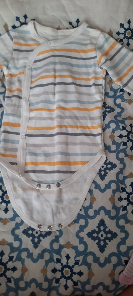 Uzun Kollu zıbın - Görsel 2