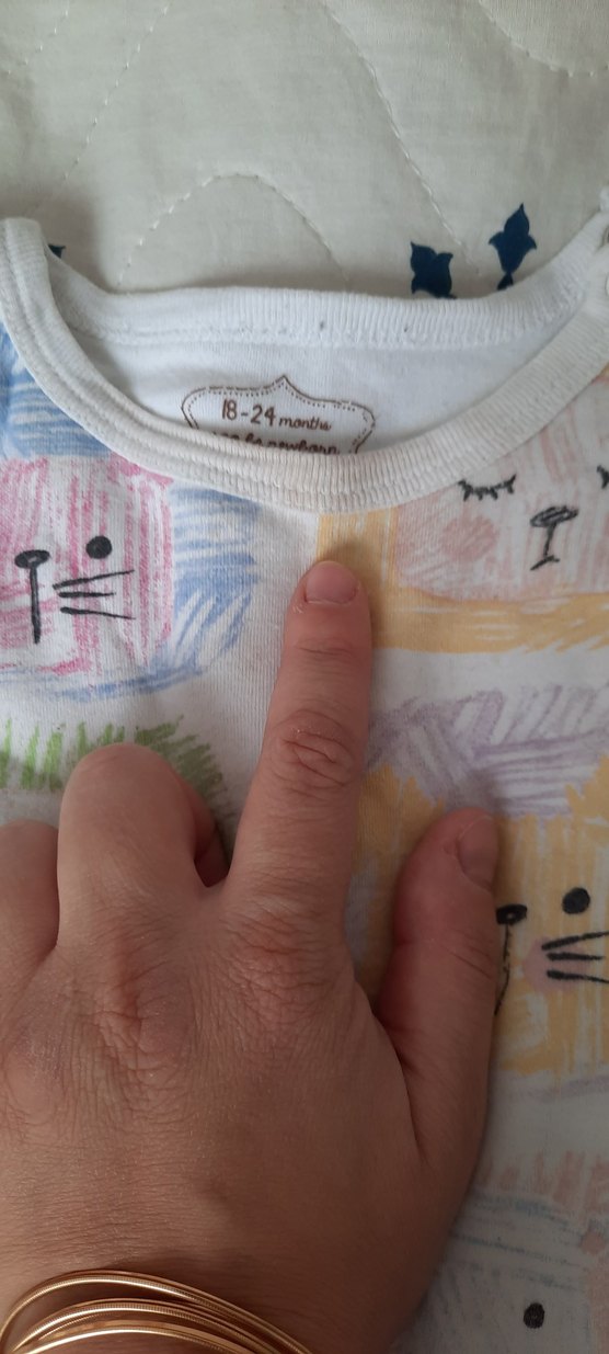 Uzun Kollu zıbın - Görsel 5