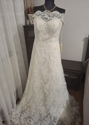 aysira 40