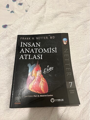 netter anatomi atlası