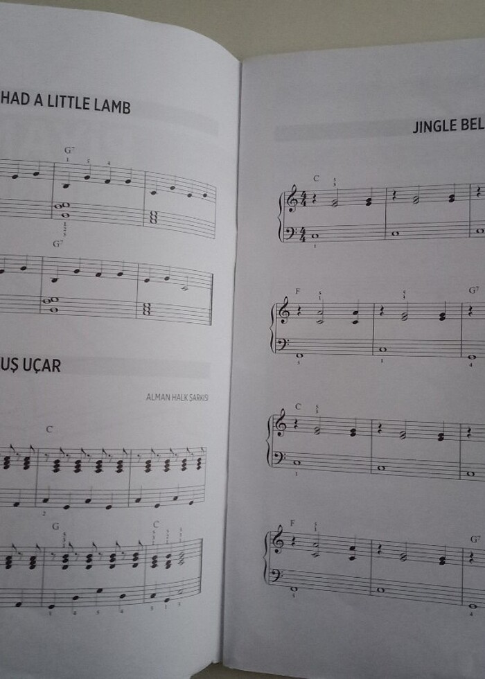 Melodika & Piyano ve Gitar Eşlikler - Görsel 2