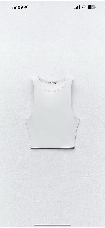 Zara Crop