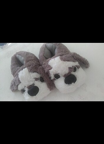 Panduf 