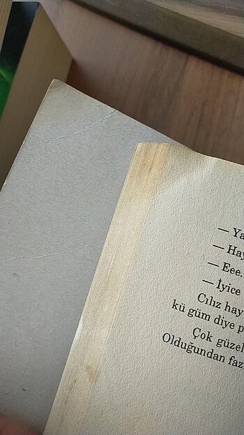 Beden Renk Kitap, roman