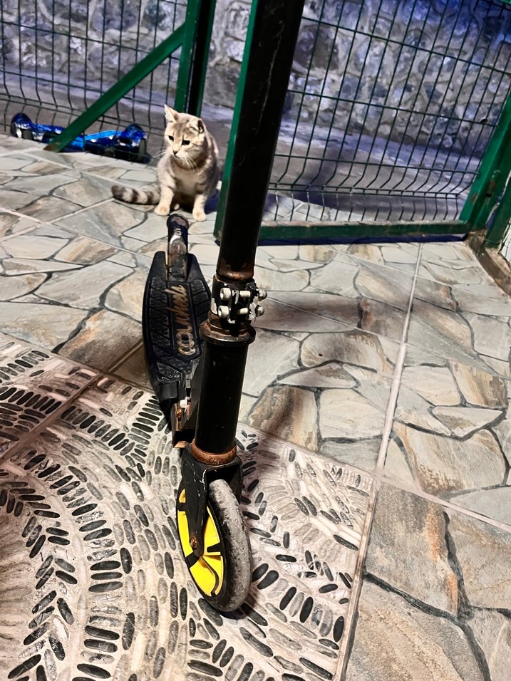 Siyah Çocuk Scooterı - Görsel 4