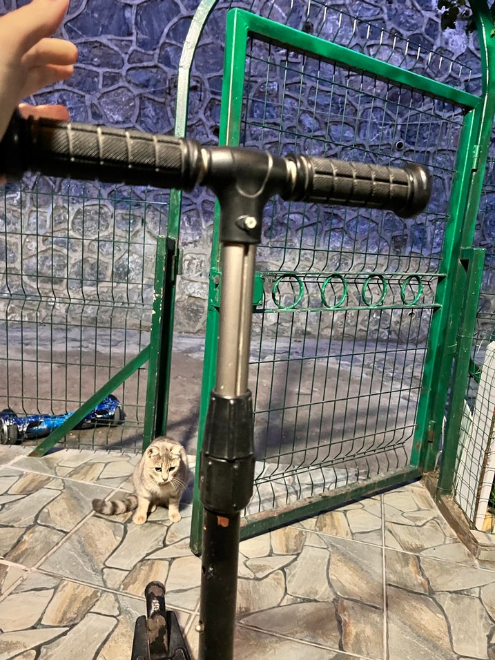 Siyah Çocuk Scooterı - Görsel 5