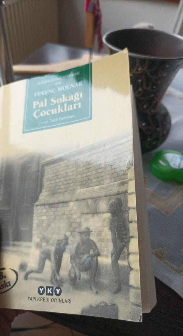 Pál Sokağı Çocukları - Ferenc Molnár - Görsel 3