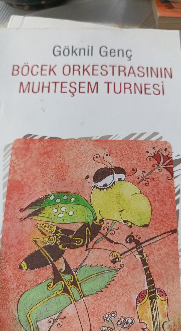 Böcek Orkestrasının Muhteşem Turnesi - Göknil Genç - Görsel 2