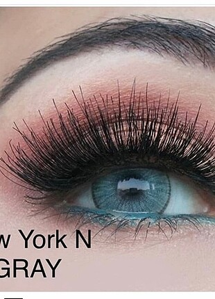 New York N Gray