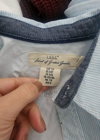 Erkek Çocuk Baskılı Pamuk Gömlek - Görsel 4