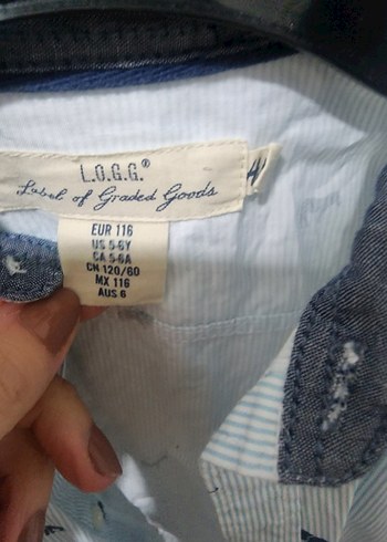 Erkek Çocuk Baskılı Pamuk Gömlek - Görsel 2