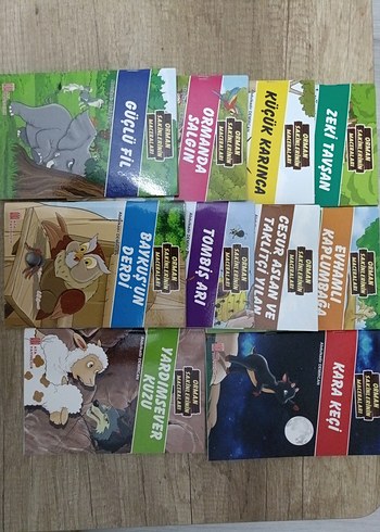 Beden Renk Orman Sakinlerinin Maceraları Çocuk Kitapları