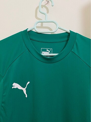 Puma orijinal