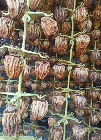 Satışa hazır 