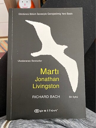 martı Jonathan Livingston