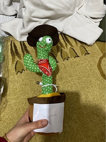 Dans eden kaktüs açıklamayı okuyun!