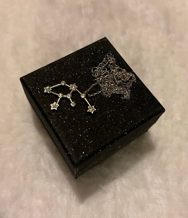 Minimalist Kova Burcu Yıldız Haritası Gümüş Kolye - Görsel 2