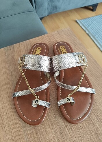 36 numara terlik