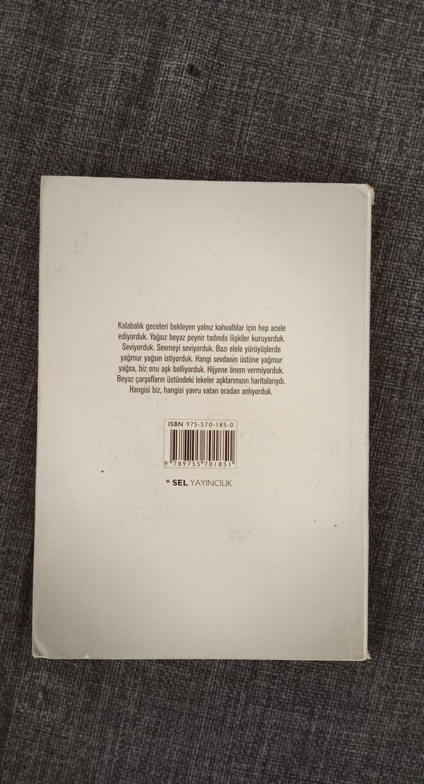 Hijyenik Aşklar - Yılmaz Erdoğan - Görsel 2