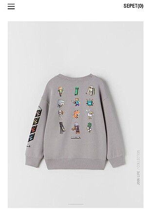 Zara sweatshirt