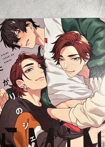 Aisaretagari No Gemini (Yaoi Manga) - Görsel 3