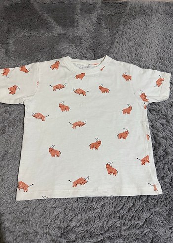 Zara tişört - Görsel 5