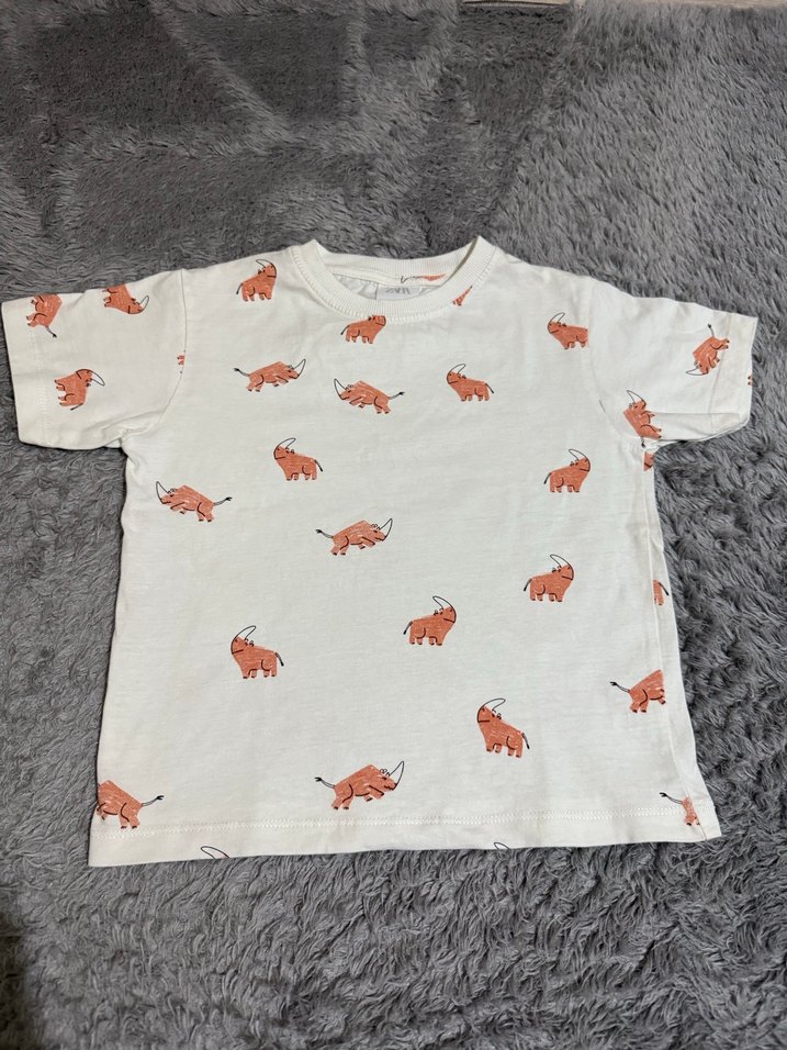 Zara tişört - Görsel 5